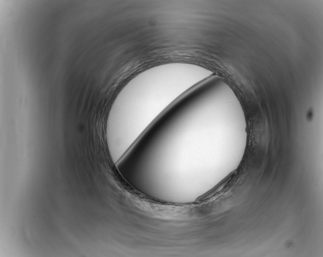 X0000099930044200805231008
