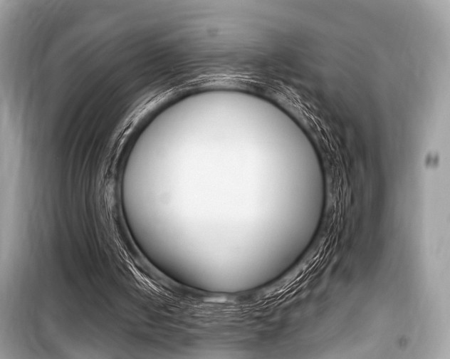 X0000099930050200805231007