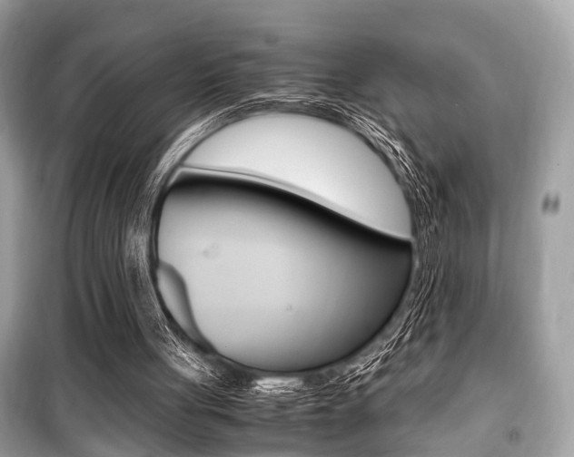 X0000099930051200805231007
