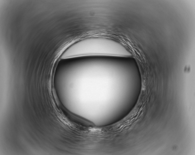 X0000099930052200805231007