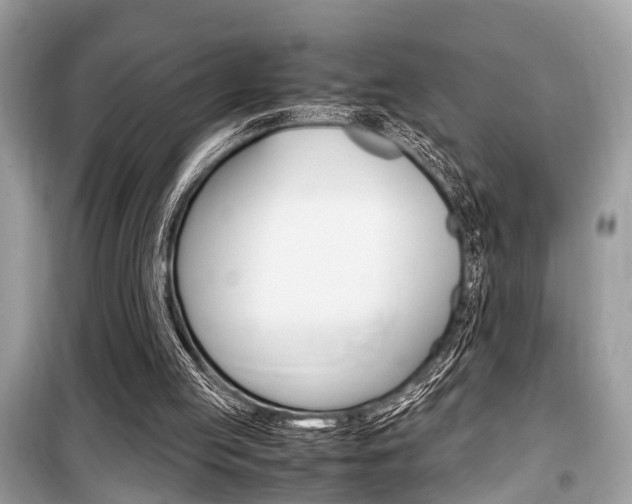 X0000099930053200805231007