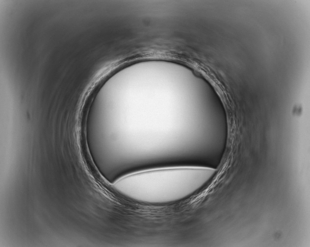 X0000099930055200805231008