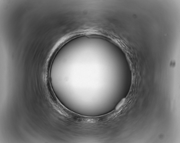 X0000099930056200805231008