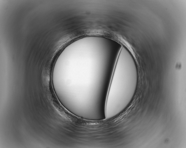 X0000099930059200805231008