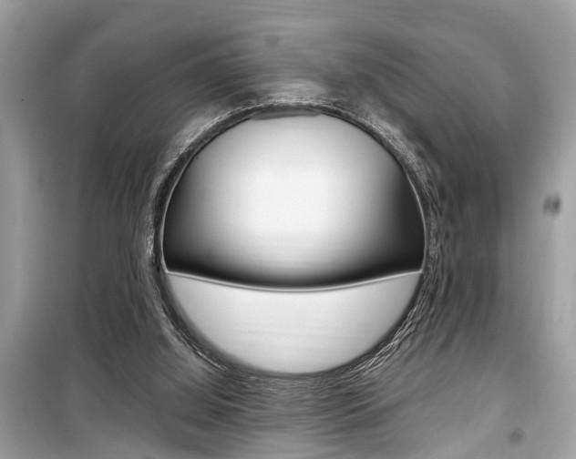 X0000099930060200805231008