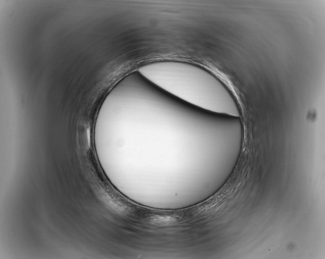 X0000099930061200805231008
