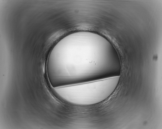 X0000099930062200805231008