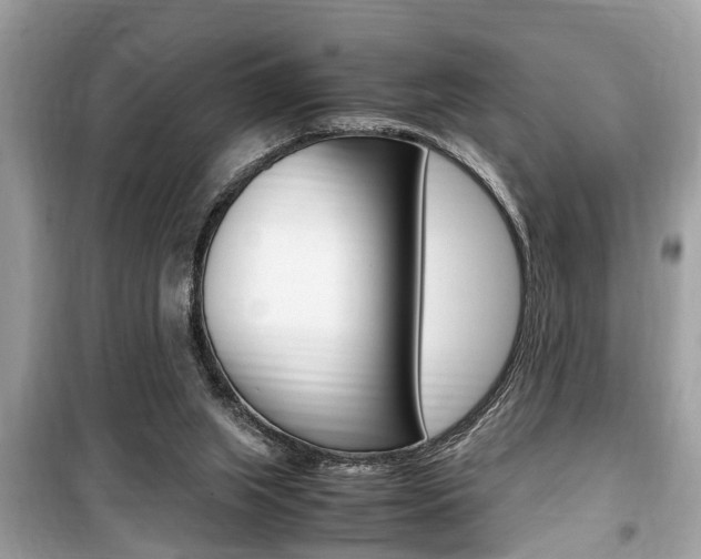 X0000099930063200805231008