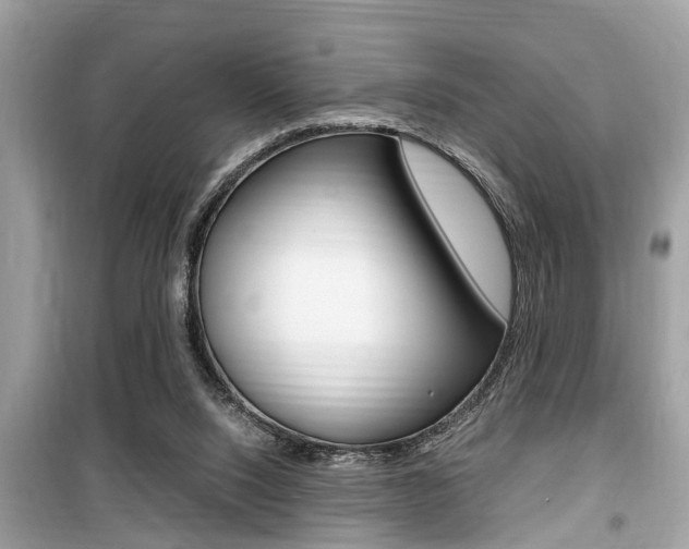 X0000099930064200805231008
