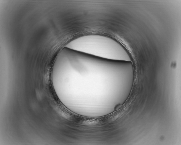 X0000099930065200805231008