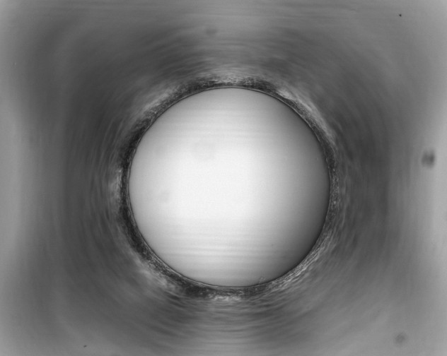 X0000099930066200805231008