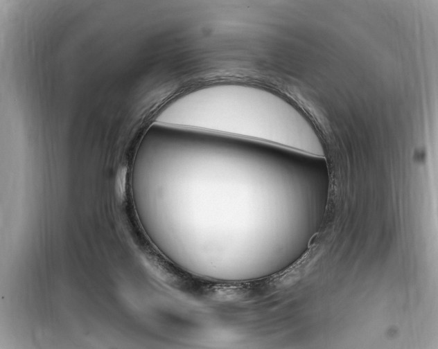 X0000099930070200805231008