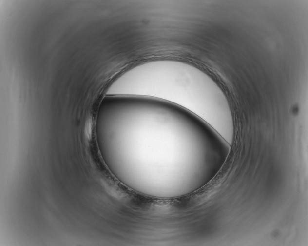 X0000099930076200805231008