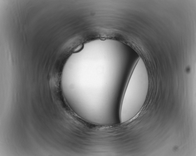 X0000099930078200805231008