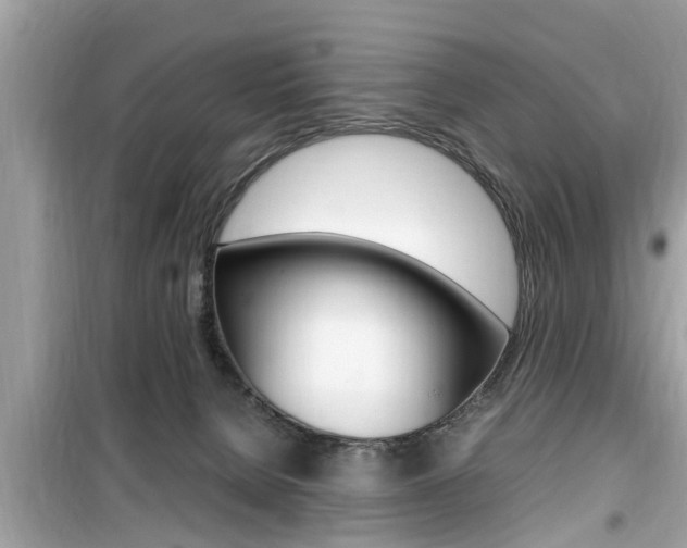 X0000099930080200805231008