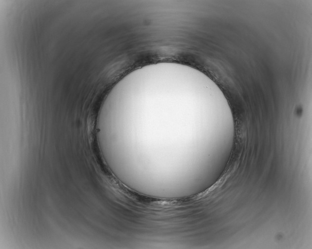 X0000099930082200805231008