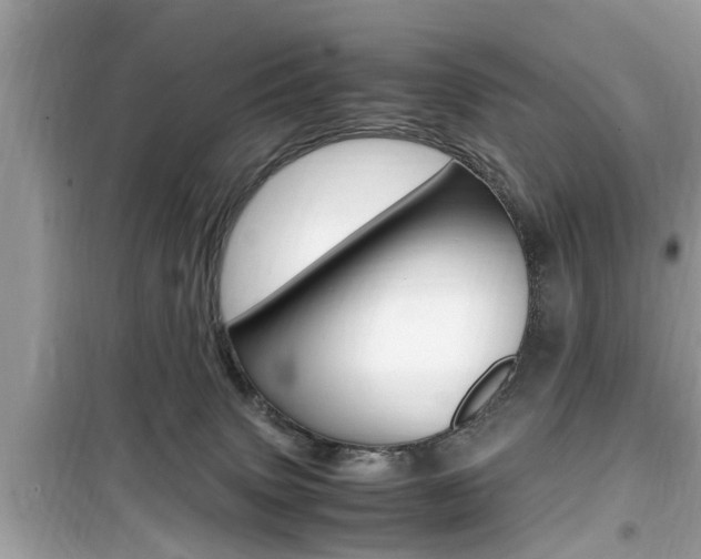 X0000099930083200805231008