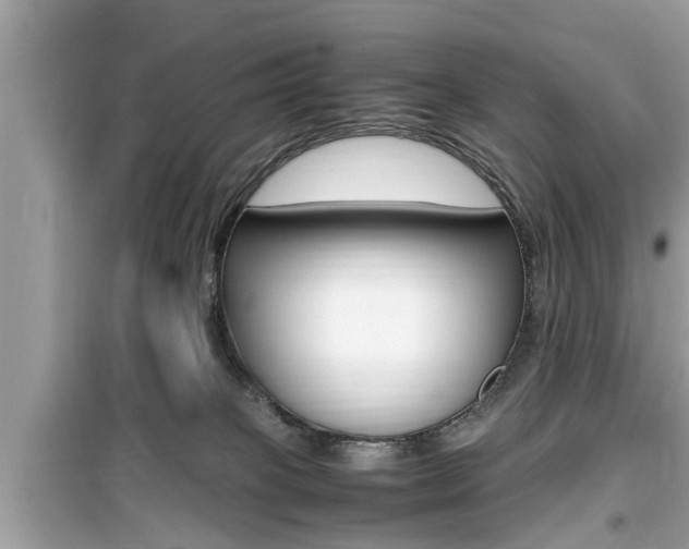 X0000099930085200805231008