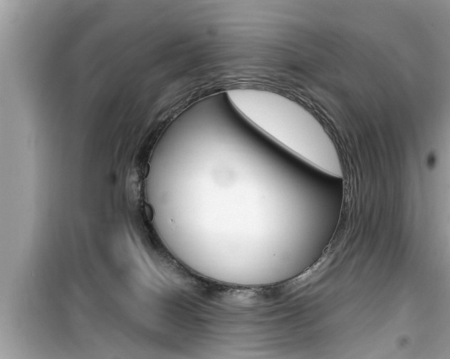 X0000099930086200805231008