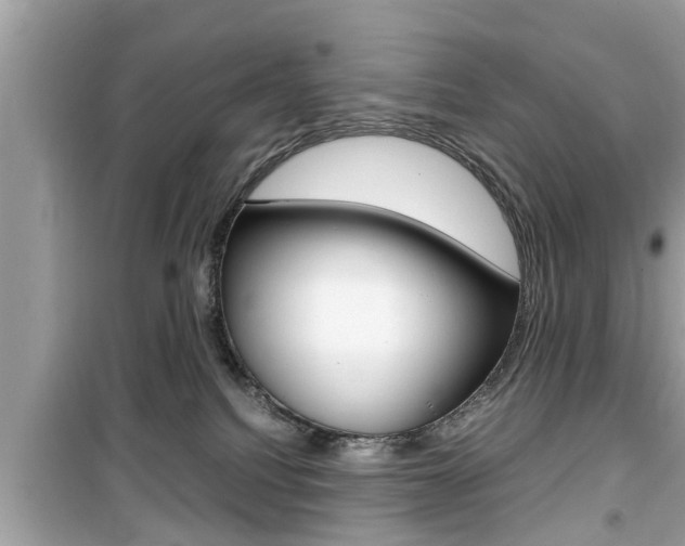 X0000099930088200805231008