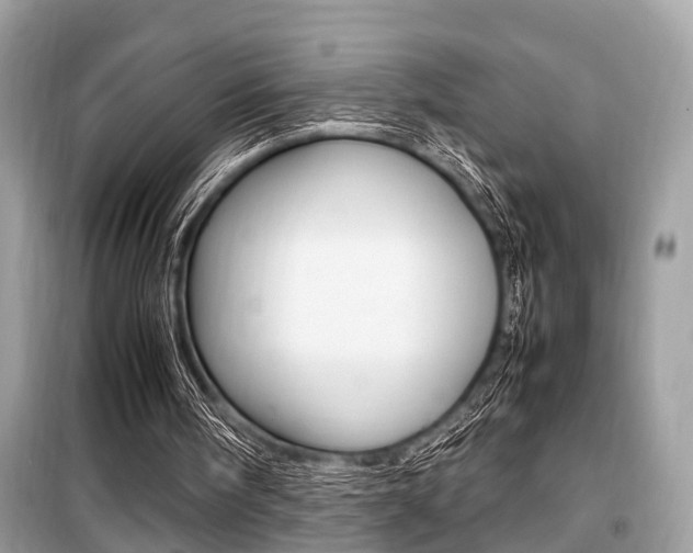 X0000099930098200805231007