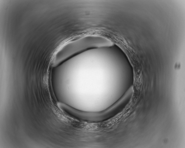 X0000099930100200805231007