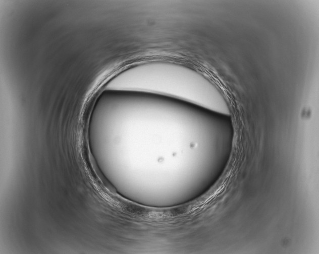 X0000099930101200805231007