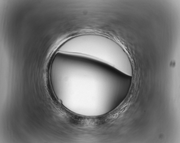 X0000099930103200805231007