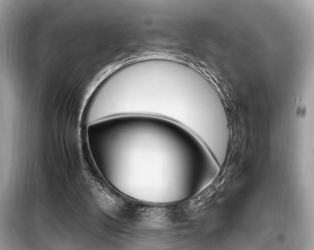 X0000099930104200805231007