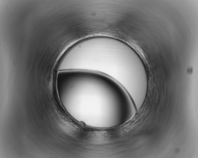 X0000099930108200805231007