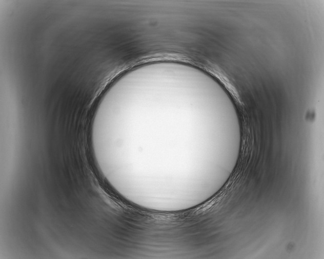 X0000099930110200805231007