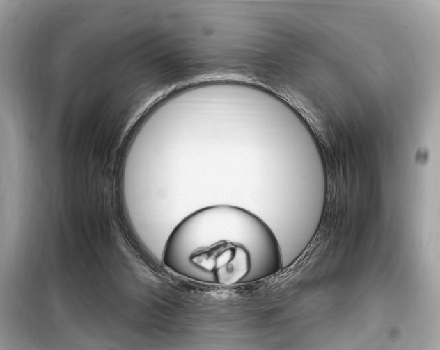 X0000099930112200805231007