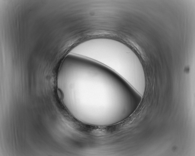 X0000099930119200805231007