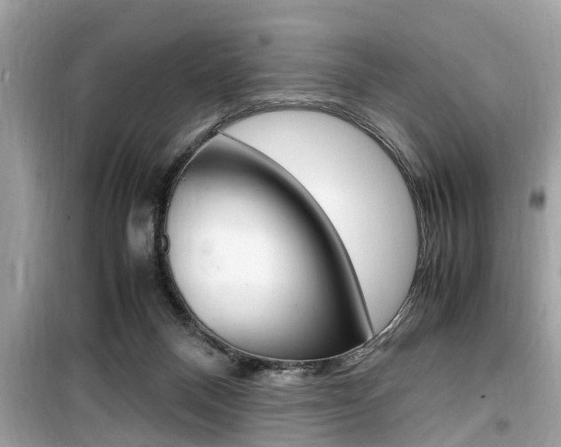 X0000099930120200805231007
