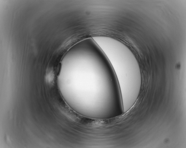 X0000099930124200805231007