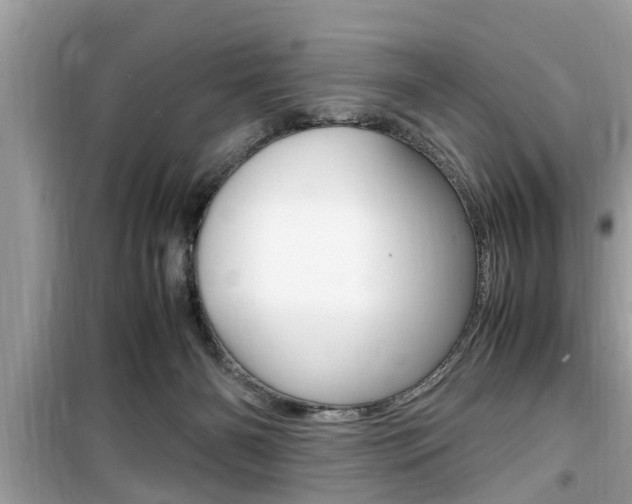 X0000099930126200805231007