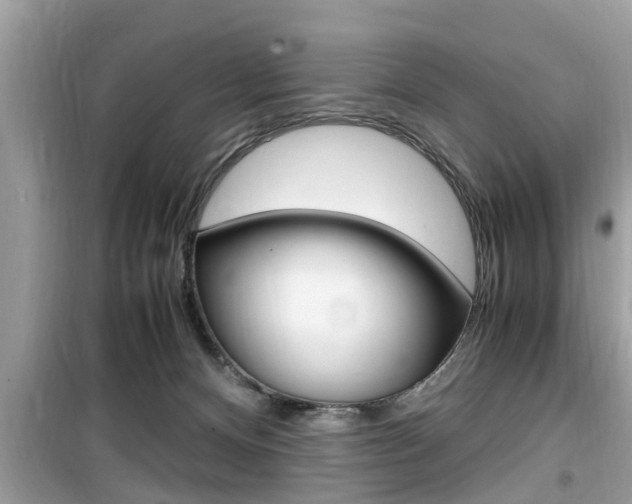 X0000099930128200805231007