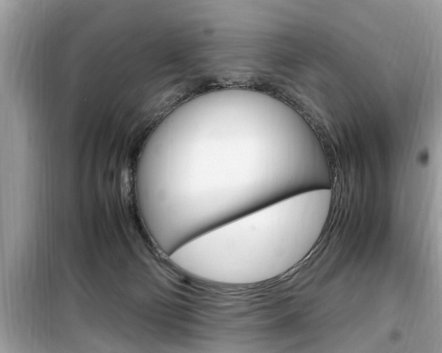 X0000099930130200805231007