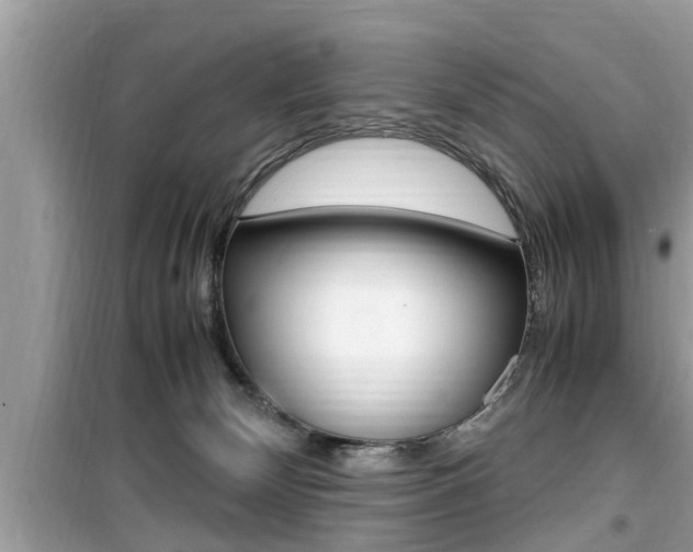 X0000099930132200805231007