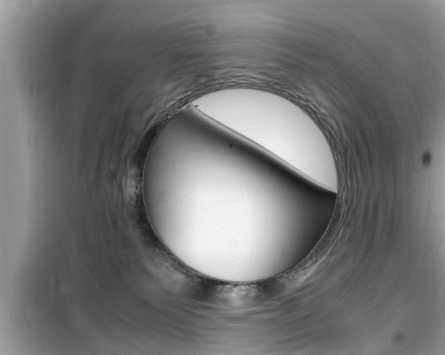 X0000099930135200805231007