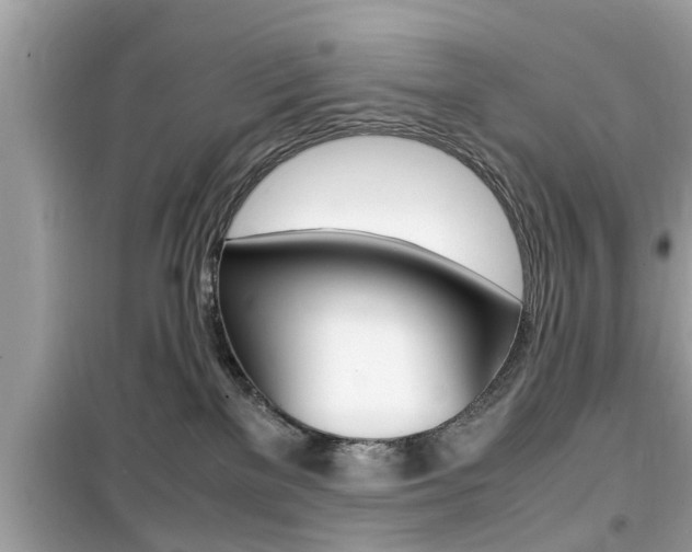 X0000099930137200805231007