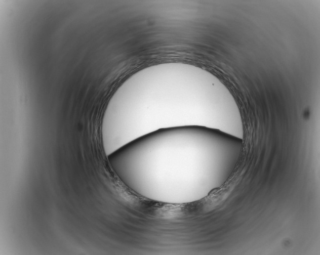 X0000099930138200805231007