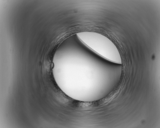 X0000099930139200805231007