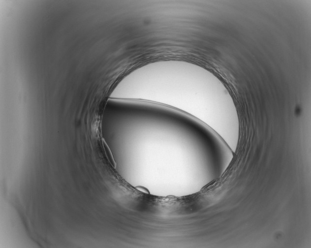 X0000099930141200805231007