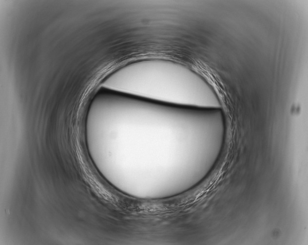 X0000099930145200805231006
