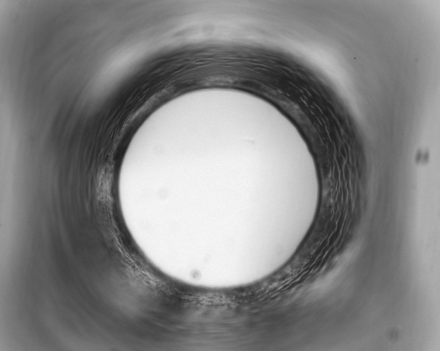 X0000099930146200805231006