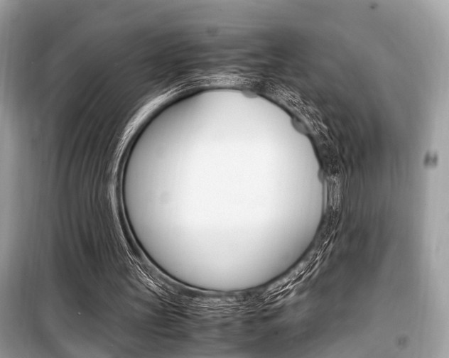 X0000099930147200805231006