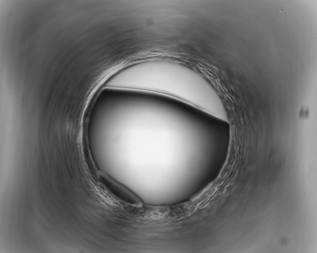 X0000099930148200805231006
