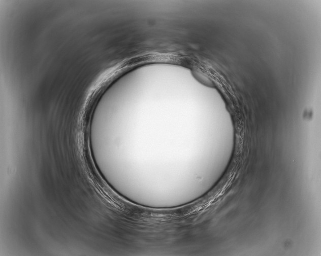 X0000099930149200805231006