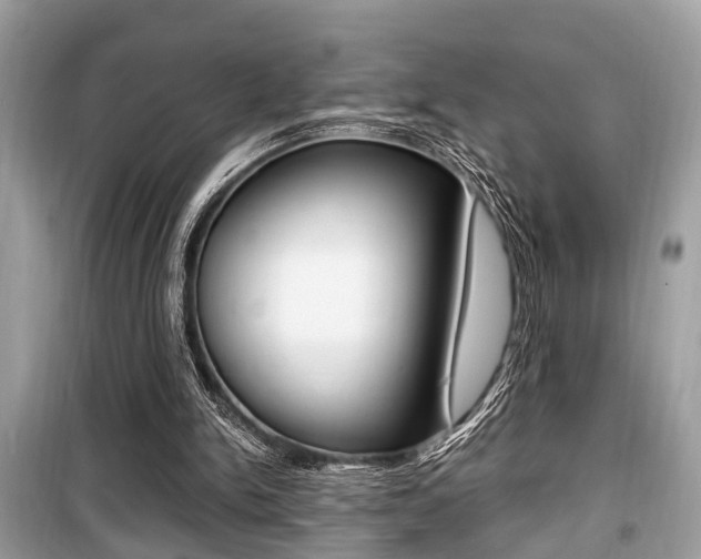 X0000099930150200805231006